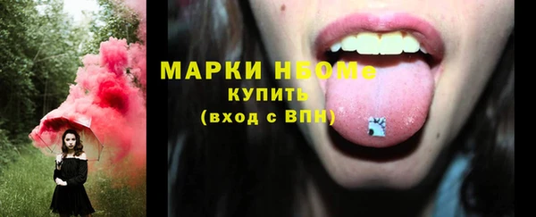 бошки Бронницы