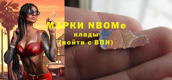 бошки Бронницы