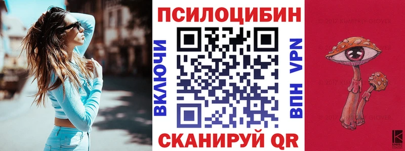 блэк спрут   цены наркотик  Козельск  Галлюциногенные грибы Psilocybine cubensis 
